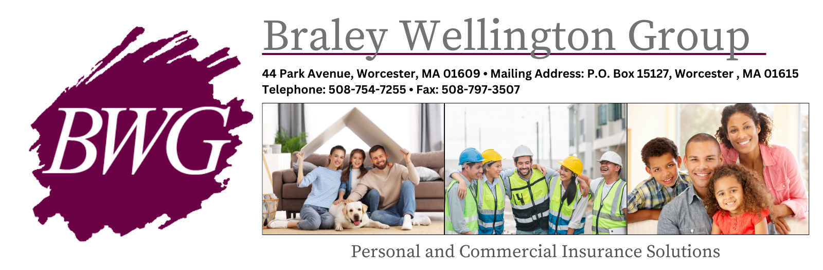 Braley Wellington Insurance Group